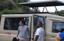 Kikuletwa Hot Spring Day Tour