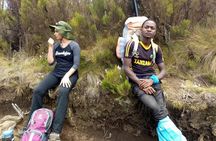 Mount Kilimanjaro Day Hike 