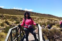 Mount Kilimanjaro Day Hike 