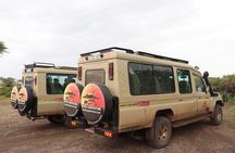 2 Days Tanzania Safari - Lake Manyara and Tarangire National Park