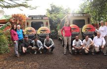 3 Days Private Safari - manyara, Ngorongoro & Tarangire