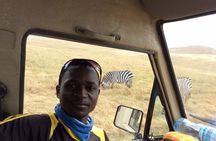 Ngorongoro Crater Day Trip