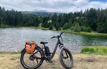 E-Bike Tours in Yellowstone National Park