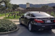 6 Hour Sonoma Wine Tasting Tour from San Francisco
