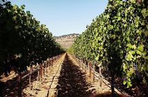 Custom 6-Hour Napa Valley Wine Tour in a Luxury Vehicle
