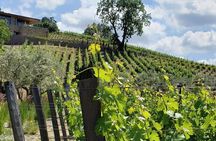 Custom 8-Hour Napa Valley Wine Tour in a Luxury Vehicle