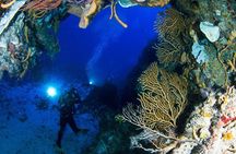Underwater Museum & Reef Dive in Cancun