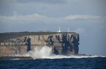 Jervis Bay Passage Tour