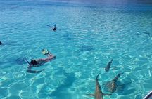 Snorkeling excursion, discovery of the lagoon, small group.