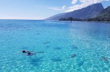 Snorkeling excursion, discovery of the lagoon, small group.