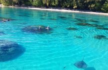 Snorkeling excursion, discovery of the lagoon, small group.