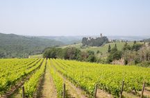 Chianti Wine Tastings Day Trip at Sunset from Florence 