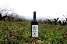 Journey Through Lebanese Wine: A Private Tour in the Beqaa Valley