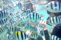 Snorkeling Tour In Gili Nanggu
