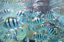 Gili Asahan Snorkeling Tour