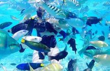 Gili Asahan Snorkeling Tour