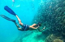 Snorkeling Tour In Gili Nanggu
