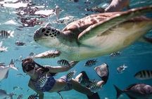 Snorkeling Tour In Gili Trawangan, Gili Meno And Gili Air Pick Up From Bali