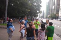 São Paulo Major Tourist Attractions Private Tour: 8-Hour (Santos City Pick-up) 