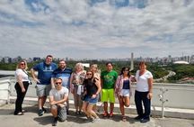 6-Hour Private Layover Tour in São Paulo from GRU & CGH Airports