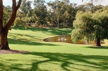 Kings Park Botanicals And Beyond