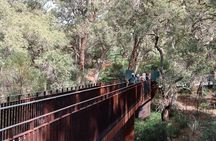 Kings Park Botanicals And Beyond