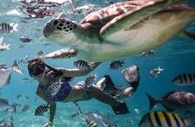Lombok Tour Package, 4 Days 3 Nights