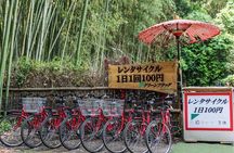 Arashiyama Bamboo Grove Day Trip from Kyoto with a Local: Private & Personalized