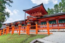 Nara Day Trip from Osaka: Private & Personalized with a Local