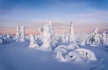 Riisitunturi wilderness adventure