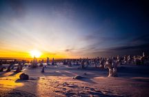 Riisitunturi wilderness adventure