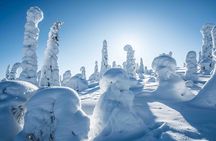 Riisitunturi wilderness adventure