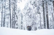 Explore the Wilderness