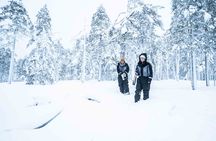 Explore the Wilderness