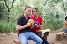 Anuradhapura Ancient City Day Tour from Kandy (Private Tour) 