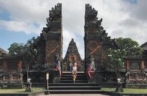 Bali Ubud private Tour with Ubud Bali Driver - FREE WIFI