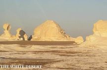 Fantastic Overnight White Desert and Baharya oasis
