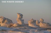 Fantastic Overnight White Desert and Baharya oasis