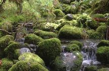 Full-Day Small-Group Routeburn Valley Walk