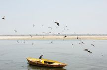 Varanasi Highlights. 1 Day Tour