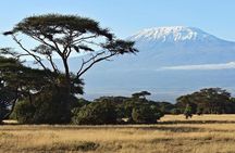Day Tour - Amboseli National Park From Nairobi