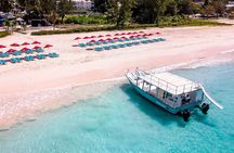 Harbour Lights-Chair &Turtle Shipwreck Snorkel Tour(10:30-1:30pm)