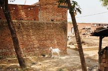 Live a round experience in Varanasi. 3 Days Tour