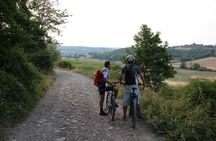 Small Group E-Bike Chianti Tour with farm lunch from Siena