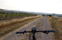 Small Group E-Bike Chianti Tour with farm lunch from Siena