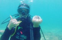 Beginner Scuba Diving Guided Tour - No Experience Required