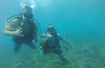 Beginner Scuba Diving Guided Tour - No Experience Required
