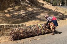 Half Day Addis Ababa City Tour