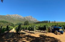 Vine Hopper: Hop-On Hop-Off Wine Tour - Northern Route
