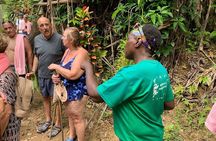 Soufriere Volcano Experience